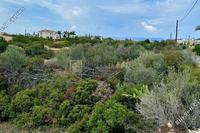 2707 SQM Land in Sea Caves Peyia (Paphos) for sale 