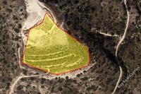 12741 SQM Plot in Agios Tychonas (Limassol) for sale 