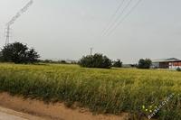 6875 SQM Land in Ypsonas (Limassol) for sale 