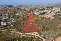 5017 SQM Land in Kathikas (Paphos) for sale 