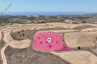 5352 SQM Land in Kathikas (Paphos) for sale 