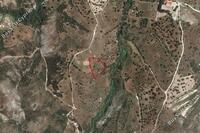 2676 SQM Land in Trahipedoula (Paphos) for sale 
