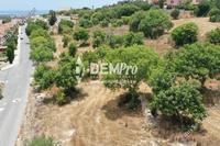 5650 SQM Land in Anavargos (Paphos) for sale 
