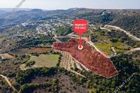11706 SQM Land in Theletra (Paphos) for sale 