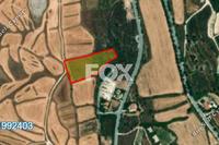 7358 SQM Land in Kathikas (Paphos) for sale 