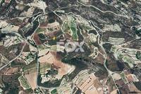 5686 SQM Land in Silikou (Limassol) for sale 