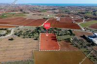 8015 SQM Land · Xylofagou (Larnaca) for sale 