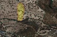 9464 SQM Land in Paramytha (Limassol) for sale 