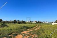 1338 SQM Land · Frenaros (Famagusta) for sale 