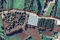 6700 SQM Plot · Agia Marina Chrysochous (Paphos) for sale 