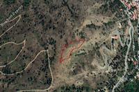 5017 SQM Land in Pedoulas (Nicosia) for sale 