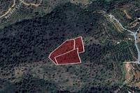 8613 SQM Land in Palaichori Morfou (Nicosia) for sale 