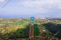 12375 SQM Land in Neo Chorio (Paphos) for sale 
