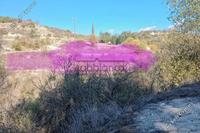 874 SQM Plot in Simou (Paphos) for sale 