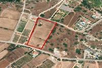 9985 SQM Plot · Peyia (Paphos) for sale 