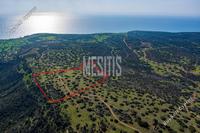40135 SQM Plot · Pissouri (Limassol) for sale 
