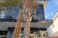 3 Bedroom Semi-detached house in Linopetra (Limassol) for sale 