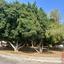 2 bedroom apartment for sale oroklini larnaca 1610000 thumbnail 13146822