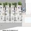 3 bedroom maisonette for sale emba paphos 1752000 thumbnail 11241271
