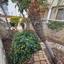 4 bedroom detached house for sale potamos germasogeias limassol 8748000 thumbnail 16459629