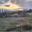 land for sale kalogiroi limassol 8123000 thumbnail 14146651