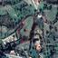 land for sale stroumbi paphos 828000 thumbnail 15177956