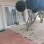 1 bedroom apartment for rent trachoni lemesou limassol 1709100 thumbnail 16339819
