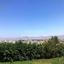 5 bedroom detached house for sale aglantzia nicosia 1153100 thumbnail 5167171
