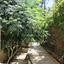 5 bedroom detached house for sale aglantzia nicosia 1153100 thumbnail 5167211