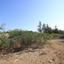 plot for sale ormideia larnaca 7543100 thumbnail 9478874