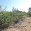 plot for sale ormideia larnaca 7543100 thumbnail 9478876
