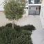 2 bedroom maisonette for rent agios tychonas limassol 8509200 thumbnail 15398194