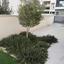2 bedroom maisonette for rent agios tychonas limassol 8509200 thumbnail 15398202