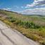 land for sale drynia paphos 8711200 thumbnail 16277480