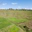 land for sale drynia paphos 8711200 thumbnail 16277482