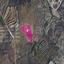 land for sale kalo chorio oreinis nicosia 7872200 thumbnail 14891829