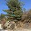 land for sale kyperounta limassol 8804200 thumbnail 16777783