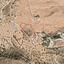land for sale nata paphos 828200 thumbnail 2807891