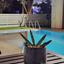 2 bedroom detached house for sale kato paphos universal paphos 1681300 thumbnail 4374498