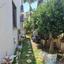 4 bedroom detached house for sale aradippou larnaca 1196300 thumbnail 15974570