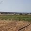 land for sale kalavasos larnaca 1448300 thumbnail 4698429