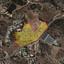 plot for sale agios tychonas limassol 1779300 thumbnail 13482697