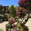 3 bedroom semi detached house for sale agios spyridonas limassol 1861500 thumbnail 6810097