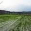 land for sale aradippou larnaca 1667500 thumbnail 15597001