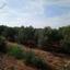land for sale astromeritis nicosia 1590500 thumbnail 17906601