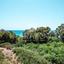 land for sale pissouri limassol 1525500 thumbnail 10036021