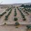 land for sale dali nicosia 933600 thumbnail 15602465