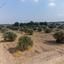 land for sale dali nicosia 933600 thumbnail 15602466