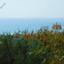 3 bedroom detached house for sale kissonerga paphos 7738700 thumbnail 10205993