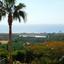 3 bedroom detached house for sale kissonerga paphos 7738700 thumbnail 10205995